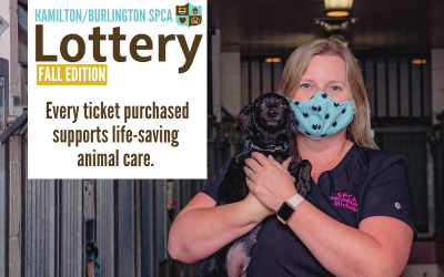Media Release: Fall Lottery Supports Hamilton/Burlington SPCA Companion Animal Hospital