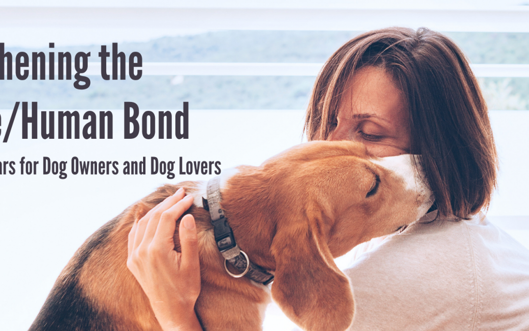 Strengthening the Canine/Human Bond with Canine Foundations