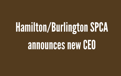 Hamilton/Burlington SPCA announces new CEO
