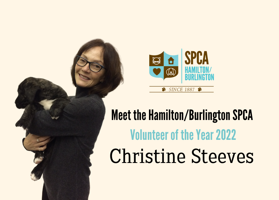 Meet the 2022 Hamilton/Burlington SPCA Volunteer of the Year: Christine Steeves