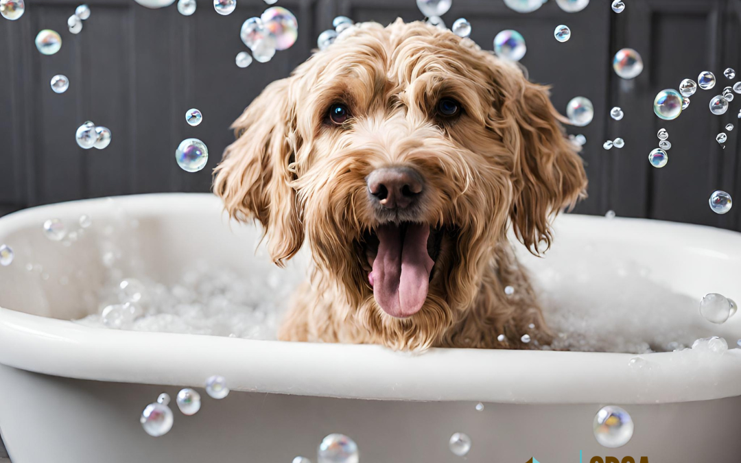 Unveiling the Canine Charm: The Importance of Regular Dog Grooming, Especially on #NationalBubbleBathDay